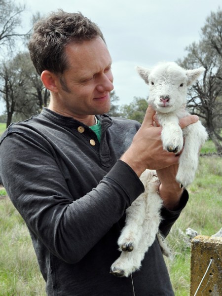 Striking a balance: what kind of vegan to&nbsp;be?