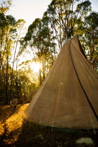 tipi in morning